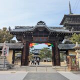 善通寺市 総本山善通寺 大会陽