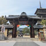 善通寺市 総本山善通寺 大会陽