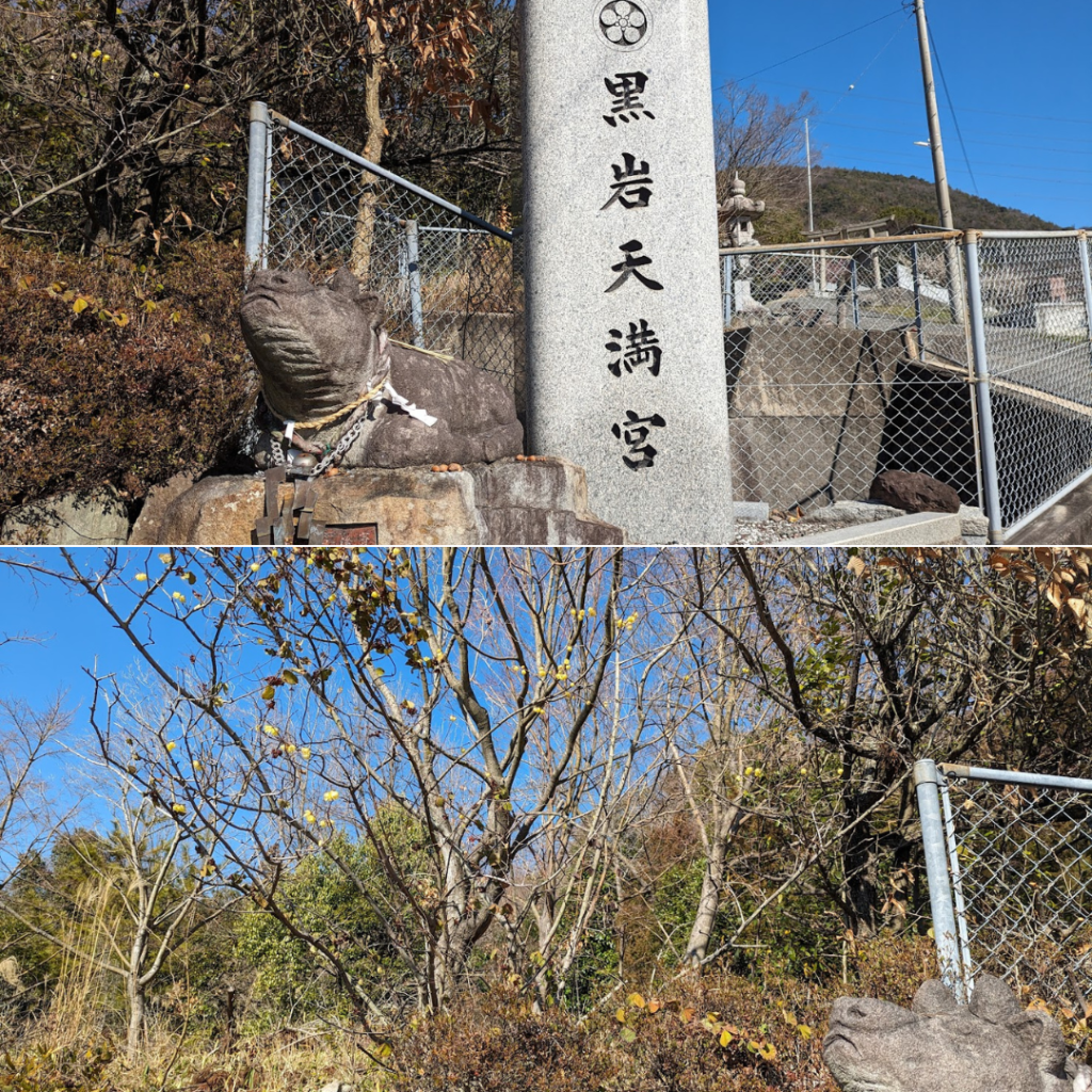 坂出市川津町 黒岩天満宮 梅の花