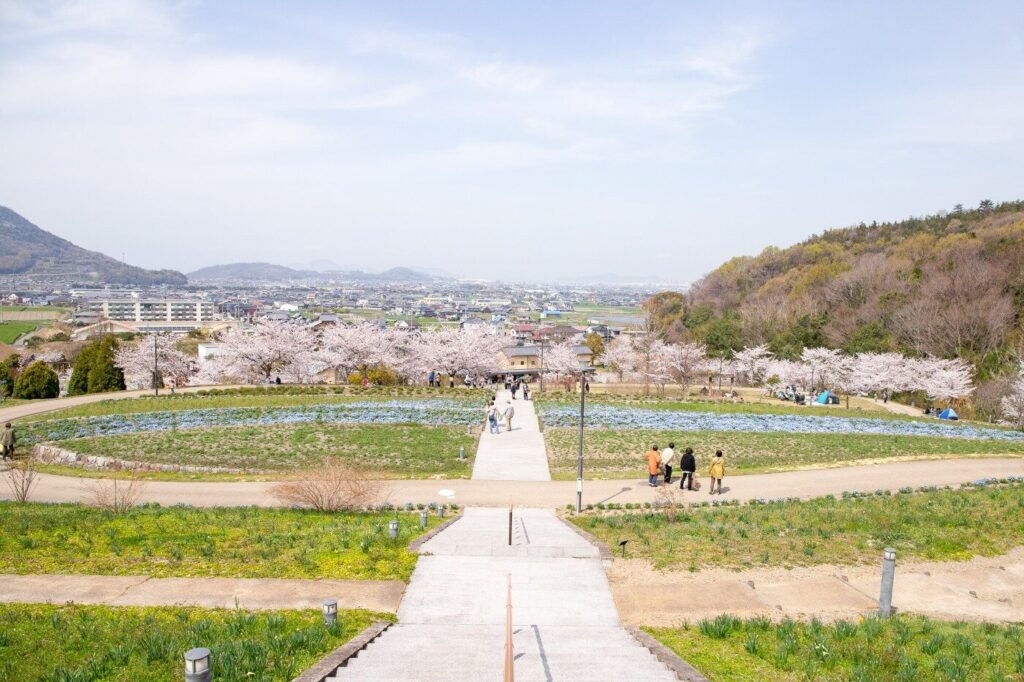 善通寺五岳の里 市民集いの丘公園 桜マルシェ