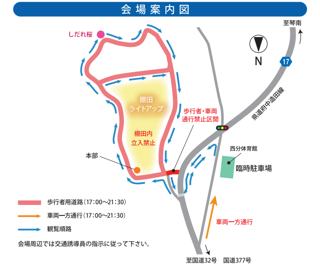 綾川町 堀池のしだれ桜 堂谷東の棚田 ライトアップイベント