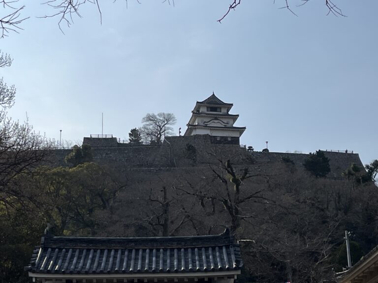 丸亀城で「令和6年丸亀城桜まつり」が2024年3月27日(水)～4月10日(水)まで開催される