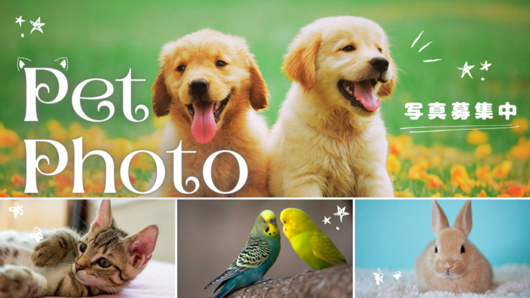 ユープラザうたづで初開催される「ペット写真展」に展示するペットの写真を募集中！応募締切は2024年4月23日(火)まで