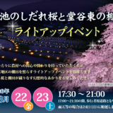 綾川町 堀池のしだれ桜 堂谷東の棚田 ライトアップイベント