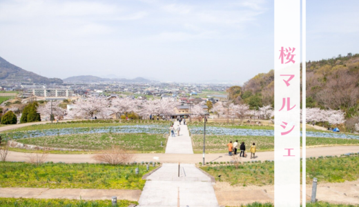 善通寺五岳の里 市民集いの丘公園で「桜マルシェ」が2024年3月23日(土)～4月7日(日)まで開催される！今年は手ぶらで来てもお弁当やスイーツが楽しめるみたい