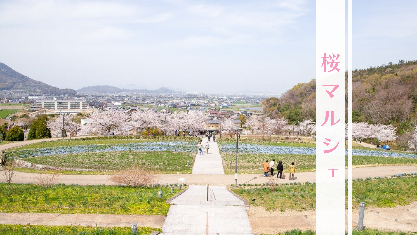 善通寺五岳の里 市民集いの丘公園 桜マルシェ