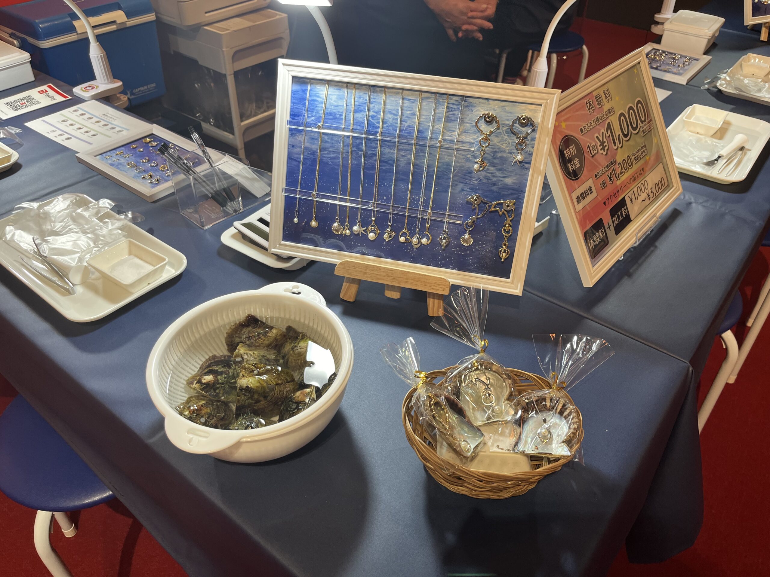 四国水族館で「真珠取り出し体験」が2024年3月20日(水・祝)から始まっ