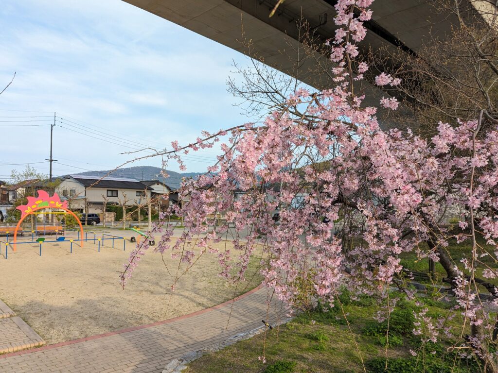 坂出市八幡町 田尾坂公園