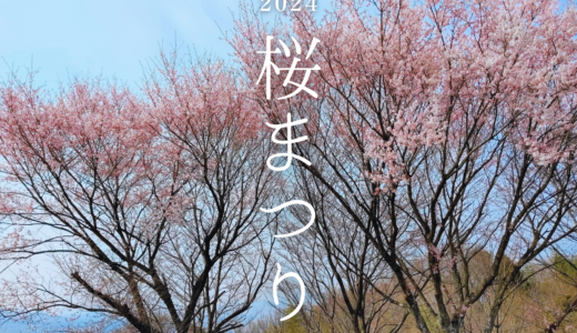 綾川町の高山航空公園で「さくらまつり」が2024年4月7日(日)に開催される！