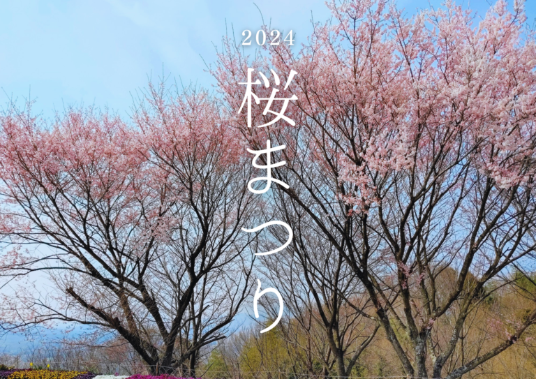 綾川町の高山航空公園で「さくらまつり」が2024年4月7日(日)に開催される！