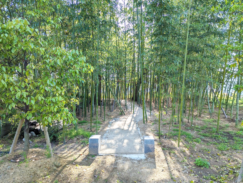 丸亀市川西町 竹林 遊歩道