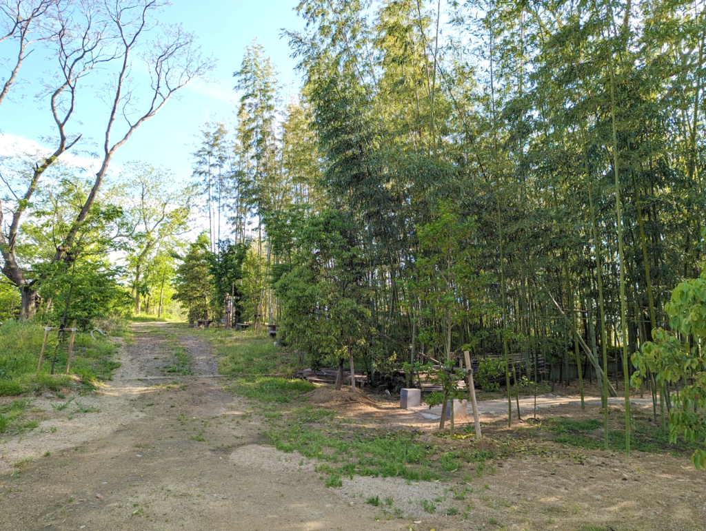 丸亀市川西町 竹林 遊歩道