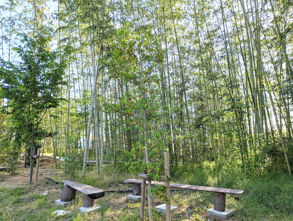 丸亀市川西町 竹林 遊歩道