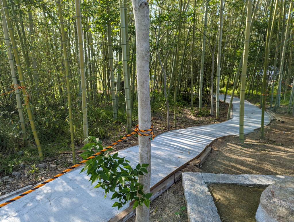 丸亀市川西町 竹林 遊歩道