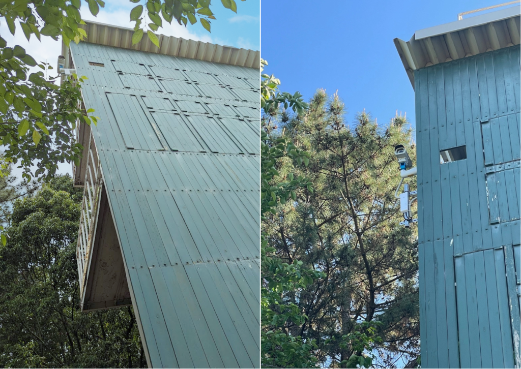 坂出市 番の州球場 AIカメラ
