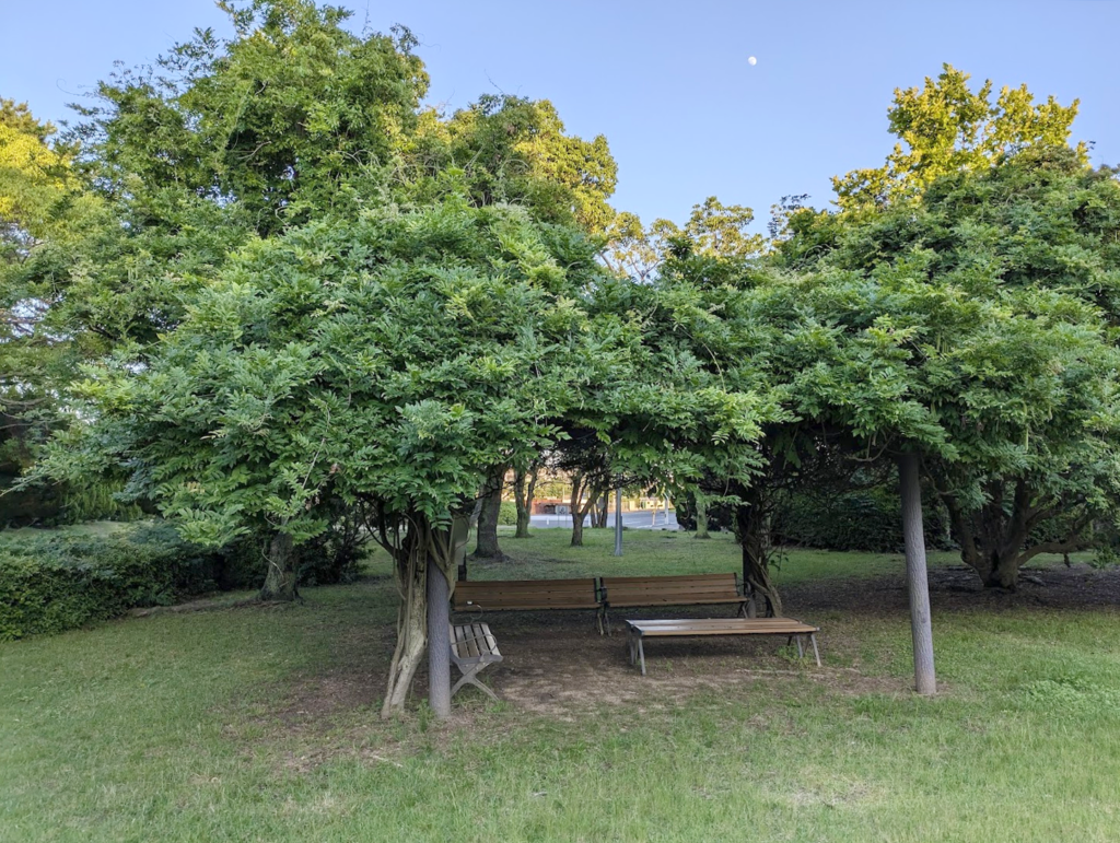 丸亀市蓬莱町 蓬莱海浜公園