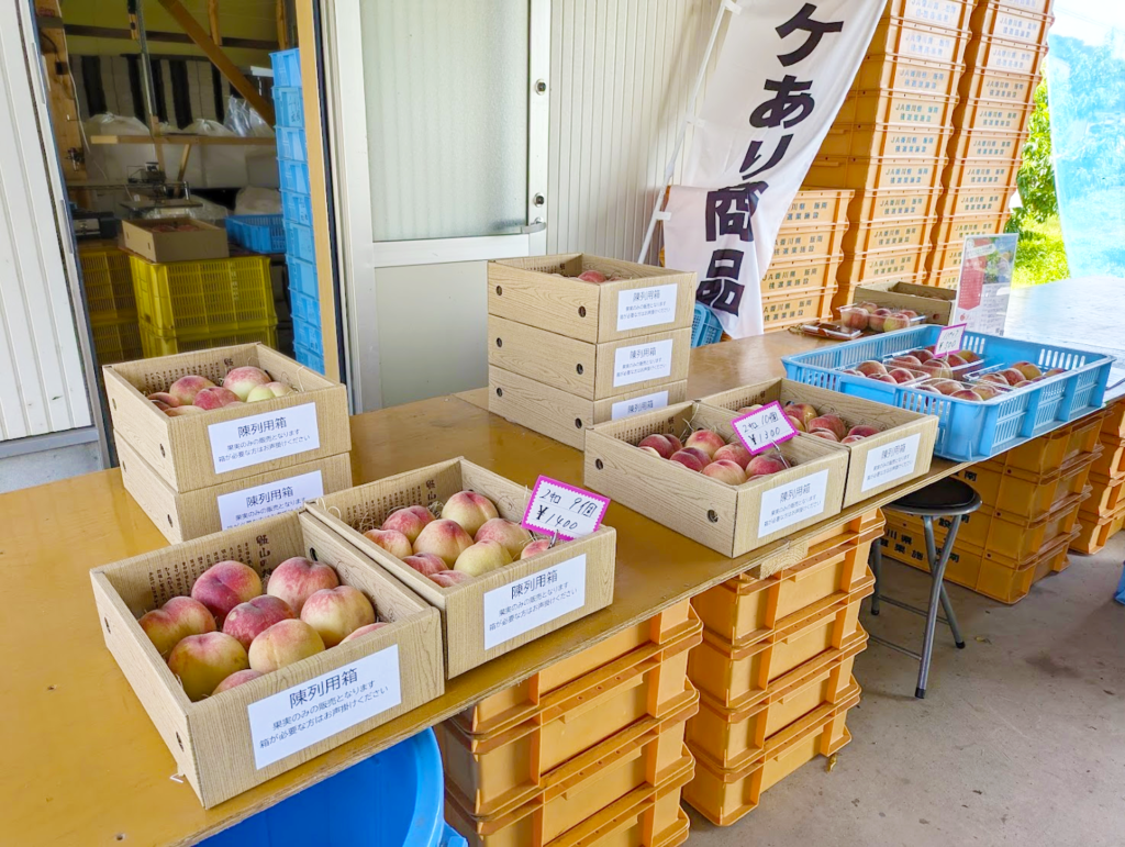 丸亀市飯山町 三谷桃園