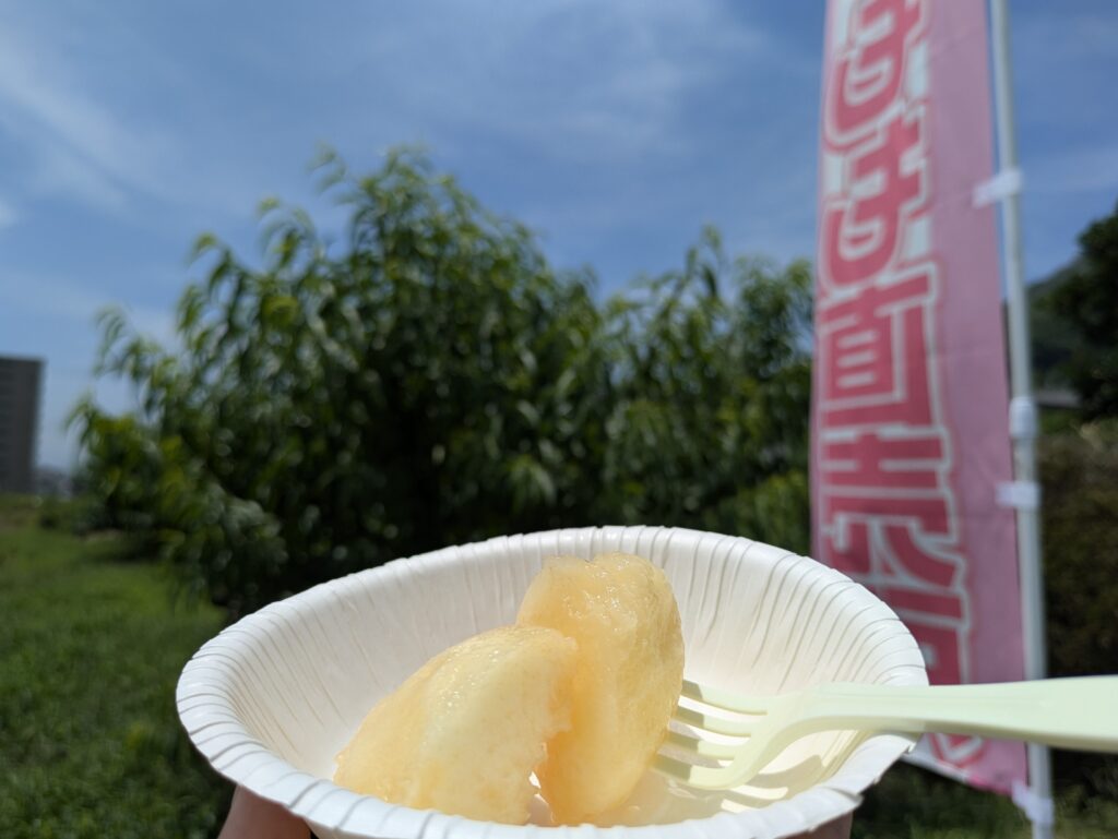 丸亀市飯山町 松本桃農園 あかつき