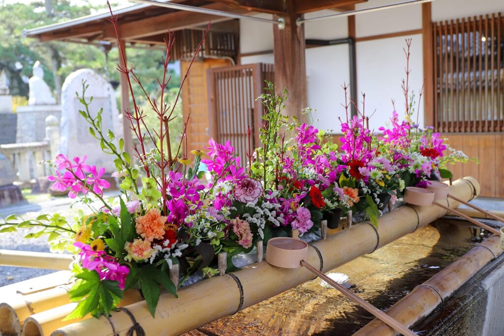 七カ所まいり花めぐり2024秋