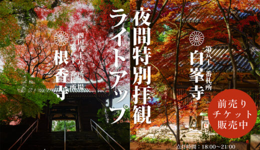 「白峯寺」と「根香寺」で初めての夜間特別拝観ライトアップ！重要文化財を特別公開も♪