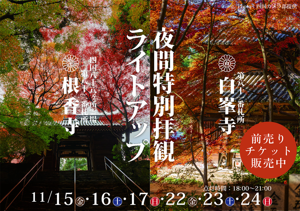 四国八十八ヶ所霊場 白峯寺 根香寺 夜間特別拝観ライトアップ