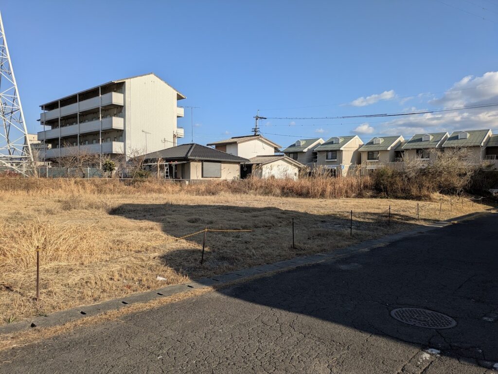 丸亀市塩屋町 ヤシの木