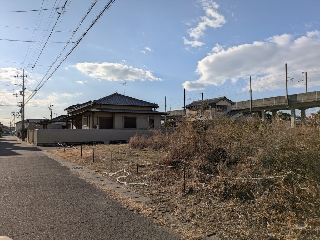 丸亀市塩屋町 ヤシの木