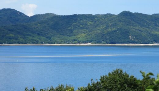 2025年3月20日(木・祝)は旅客運賃無料デー！丸亀20周年記念品プレゼントや本島・さぬき広島ではイベントを開催♪