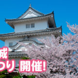 丸亀城 令和7年丸亀城桜まつり