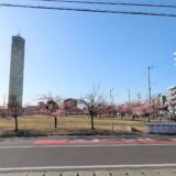 宇多津町 さくらの広場