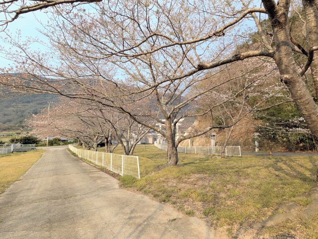 坂出市 青海神社・西行法師の道の桜