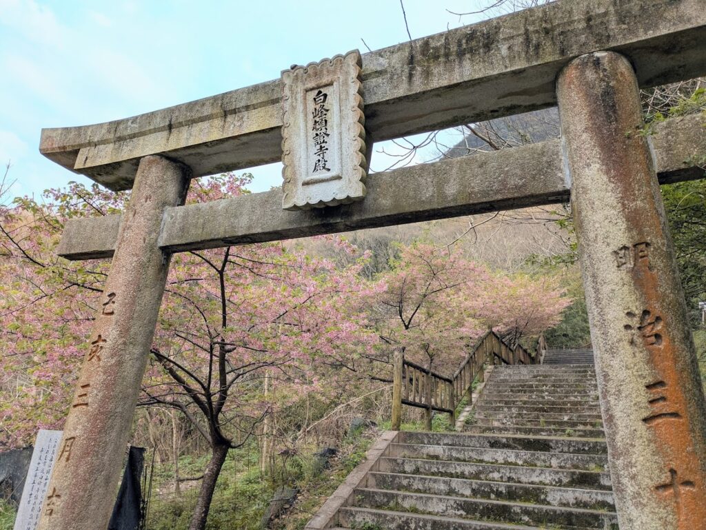 坂出市 青海神社・西行法師の道の桜