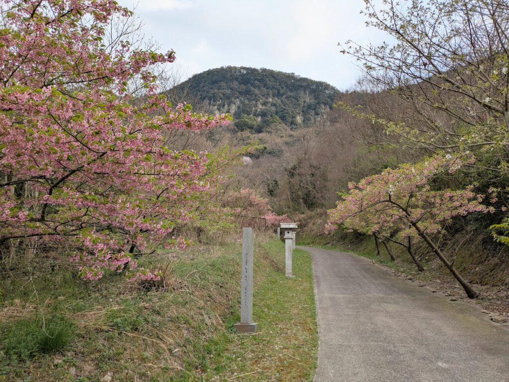 坂出市 青海神社・西行法師の道の桜