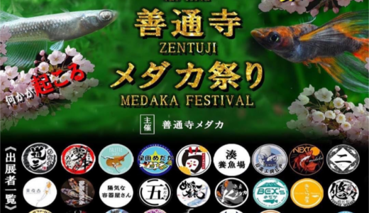 善通寺五岳の里市民集いの丘公園で「善通寺メダカ祭り」が2025年3月23日(日)に開催！県内外から豪華メンバーが大集結してオークションも!?
