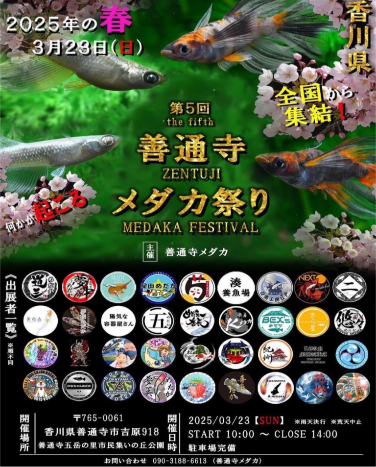 善通寺五岳の里市民集いの丘公園で「善通寺メダカ祭り」が2025年3月23日(日)に開催！県内外から豪華メンバーが大集結してオークションも!?