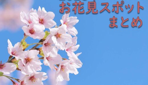 【2025年度】中讃地区の桜スポットまとめ