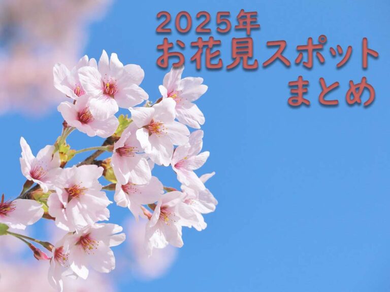 【2025年度】中讃地区の桜スポットまとめ