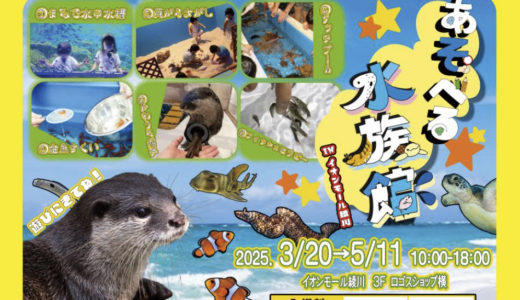 【開催中】あそべる水族館inイオンモール綾川のスタッフさんに「おすすめポイント５つ」を聞いてきた！