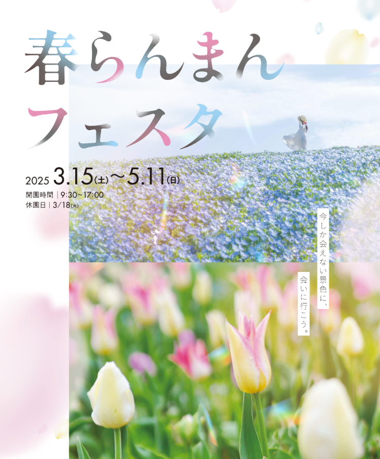 まんのう町 春らんまんフェスタ2025