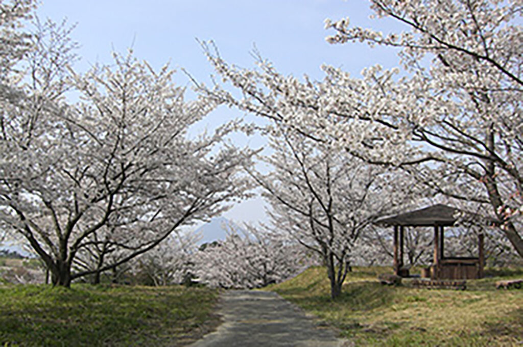 丸亀市綾歌町 綾歌森林公園
