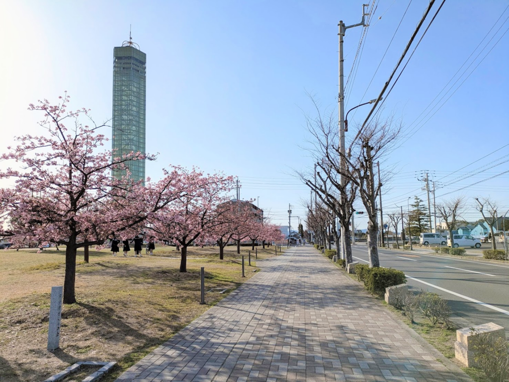 宇多津町 さくらの広場