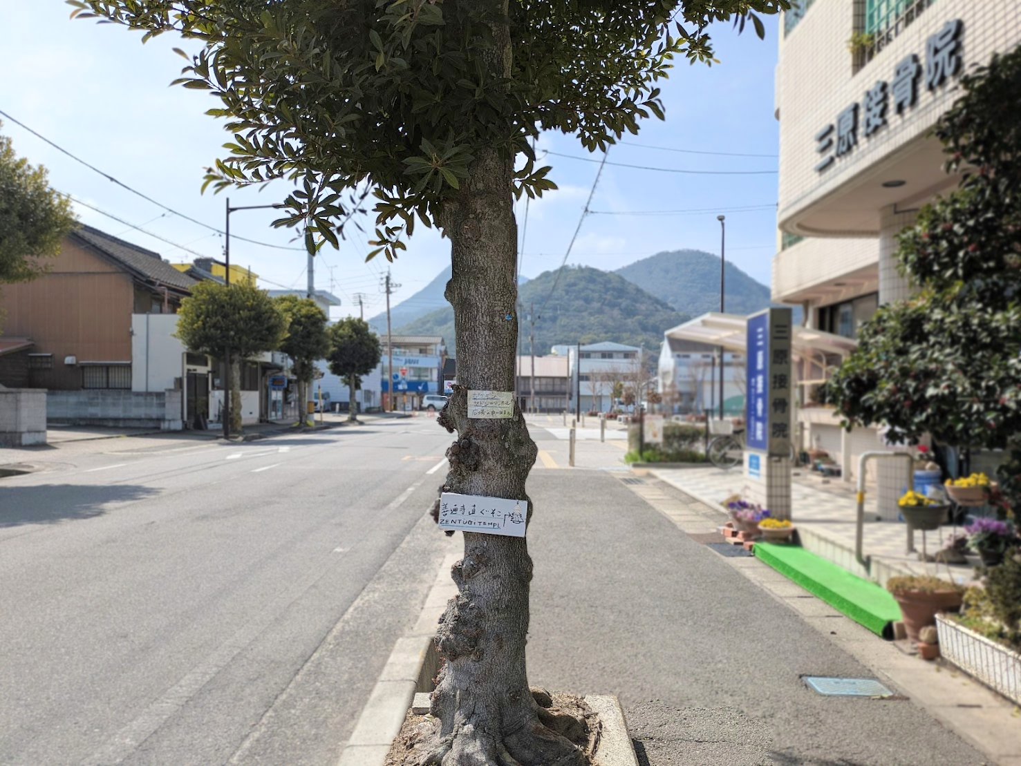 善通寺市