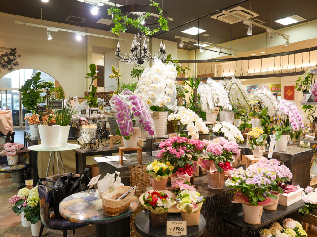 イッツ花由 イオンモール綾川店
