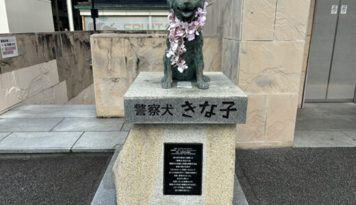 きな子もすっかり春の装いですが、足元にあった白いものは？