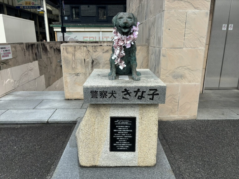 きな子もすっかり春の装いですが、足元にあった白いものは？