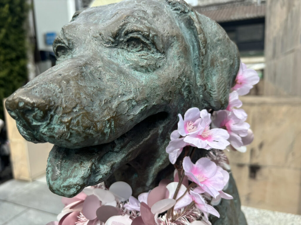 丸亀駅 きな子