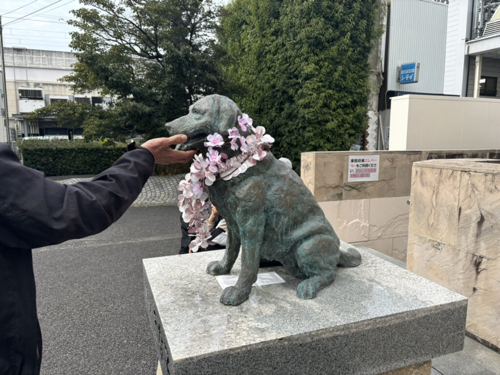 丸亀市 丸亀駅 きな子