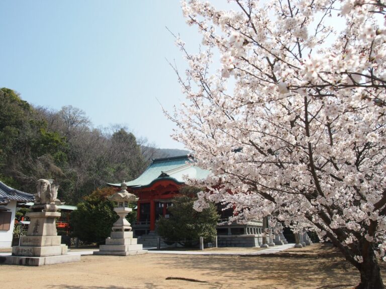 坂出市大屋冨町の厳島神社1200年式年祭で約30年ぶりに「北条念仏踊」が復活！