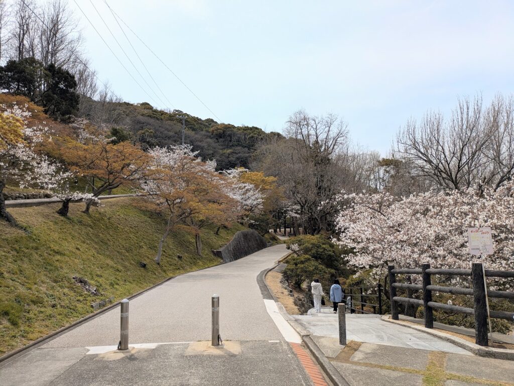 多度津町 たどつさくらまつり