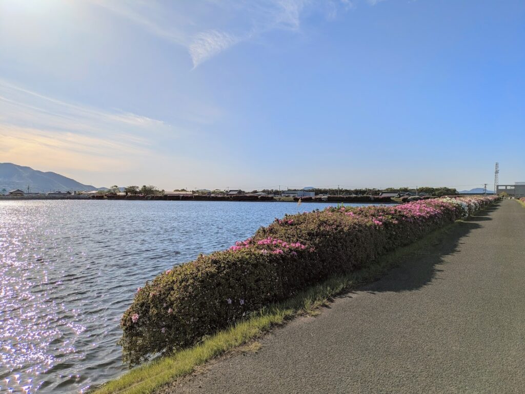 善通寺市 村上池